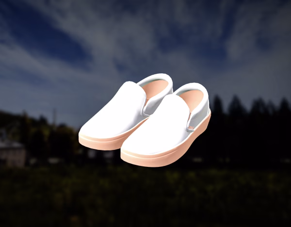 Item Skin: Rose Vans