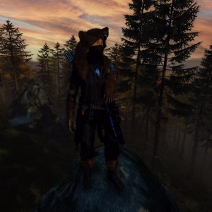 Costume: Bearserker